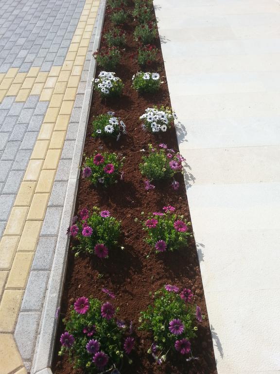 קוקינוס פירגוס Elpidis Villa חדר תמונה